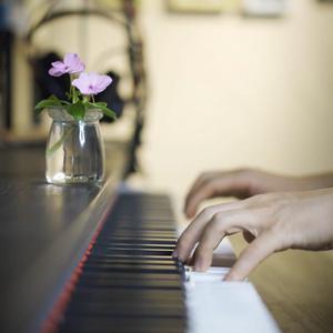 520886·moc美国叛
