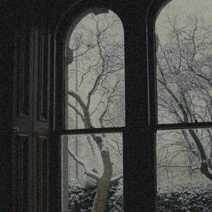 520886·moc美国叛
